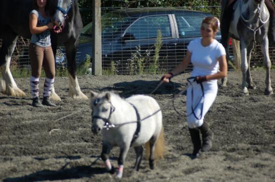 Journée d'initiation au cheval 2009, à Yvonnand