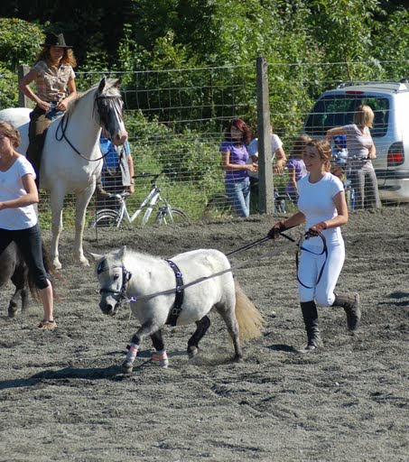 Journée d'initiation au cheval 2009, à Yvonnand