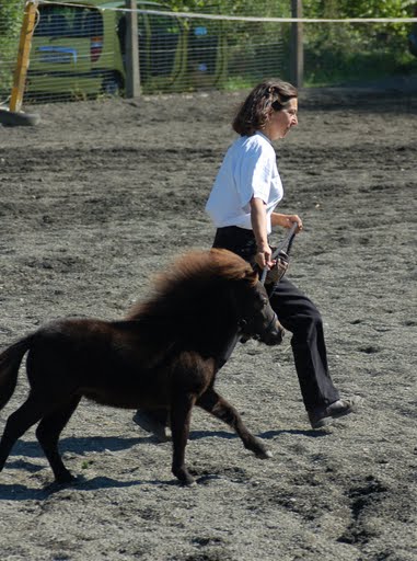 Journée d'initiation au cheval 2009, à Yvonnand