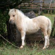 Hel'Lyra 3 mois et demi