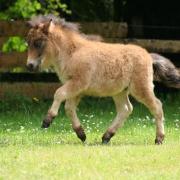 Galley 1 mois et demi 5 juin 2016 19