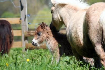 Galley spy ne le 19 avril 2016 02h15 8