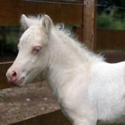 Hey jay 1 semaine 28 juin 2017 2