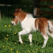 Meylir 8 jours 24 mai 2022 26