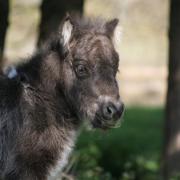 Mille sia 2 jours 14 mars 2022 0519