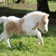 Nevaeh sky 3 semaines et demi 23 avril 2023 15